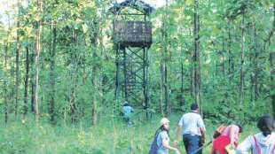Conservation Reserve Forest Areas,