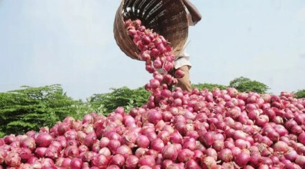 onion-rates-will-hike-after Diwali