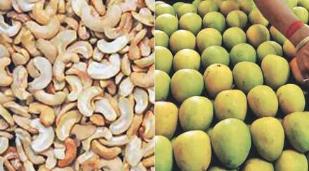 export of mango cashew