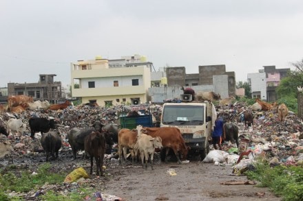 In the metro region of Nagpur there is no garbage disposal facility citizens suffering bad smell nmrda