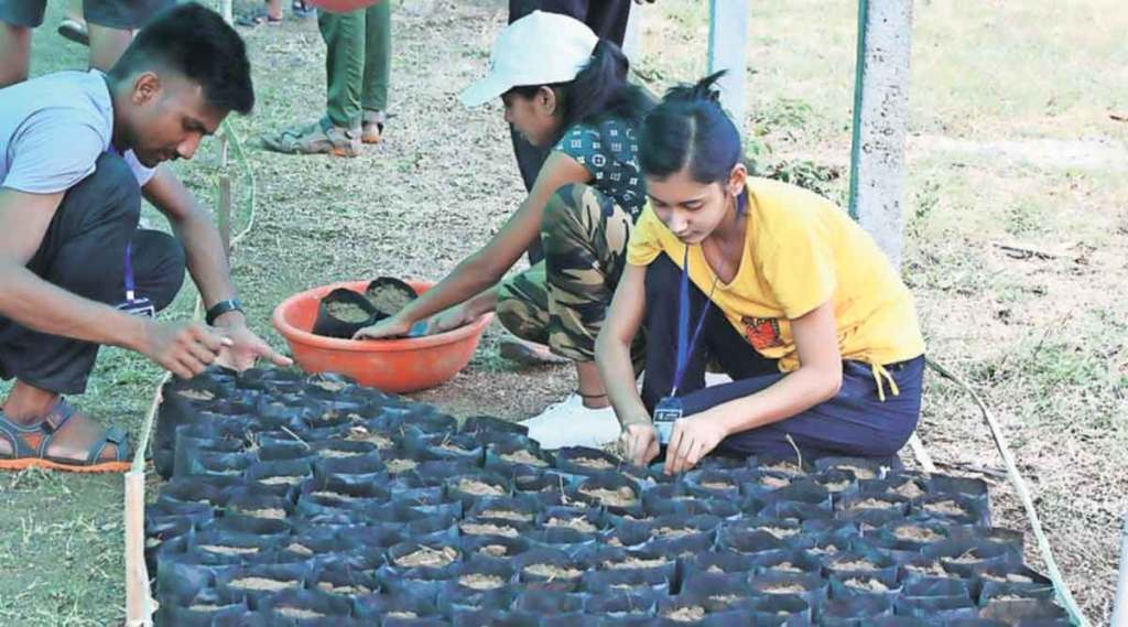 आनंदवनात वृक्षारोपणाची तयारी (सौजन्य: आनंदवनचे फेसबुक पान)