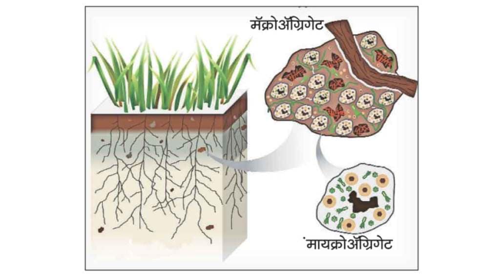 कुतूहल : मातीचे विज्ञान