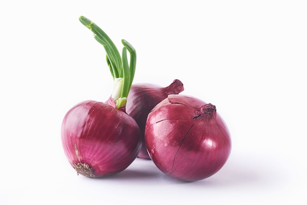 These are the Side effects of eating Onion regularly know more