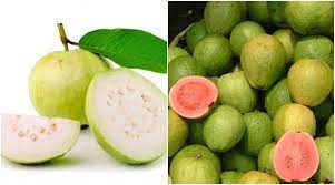 What is the difference between pink and white guava? 