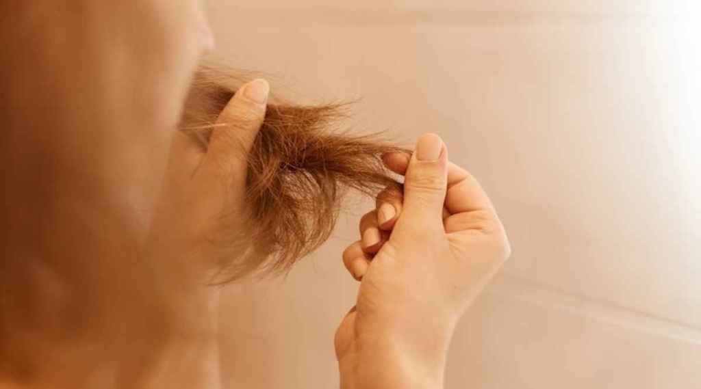 Hair Care Tips : पातळ केसांच्या समस्येवर ‘हे’ उपाय करून पाहा; लगेच दिसेल फरक