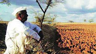 16 farmers commit suicide in Vidarbha in eight days