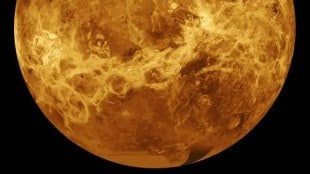 Venus-Transit