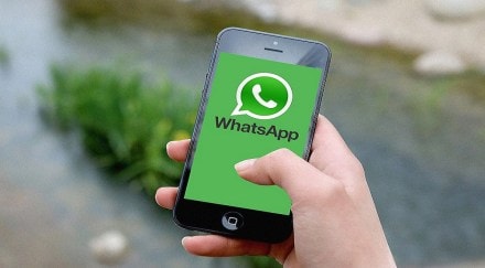 whatsapp notification mute