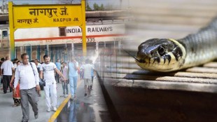 The snake on the platform, the passengers trembled Incident at Nagpur railway station