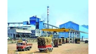 12 percent bonus to sugarcane workers before Diwali from Shree Vighnahar Sugar Factory