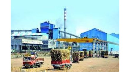12 percent bonus to sugarcane workers before Diwali from Shree Vighnahar Sugar Factory