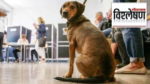 How Body Odor Changes when you are stressed How Do Dogs Recognize Anxiety Stress Depression and cancer by smell