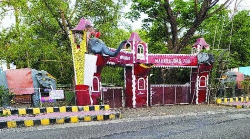 Maharaj Bagh Zoo