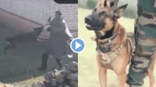 Viral Video Indian Army Zoom Dog Bites and Kill Two Terrorists