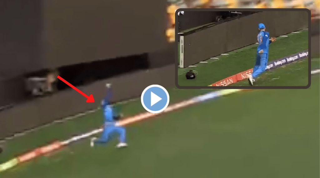 T 20 World Cup Virat Kohli Viral Video Catch Mohammad Shami Last Wicket Against Australia