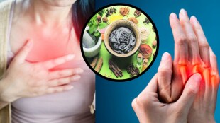Uric Acid Best Ayurvedic Treatment Home Remedies Using Mulethi yashtmadh To Reduce Swelling and Heart burn