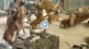 Viral Video Pitbull Dog Attacks Horse Bites off Face Shocking Clip trending Today On Instagram