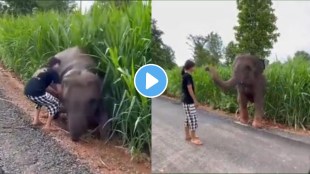 Girl helps baby elephant stuck in a muddy sidewalk to come out his reaction after this wins internet video goes viral