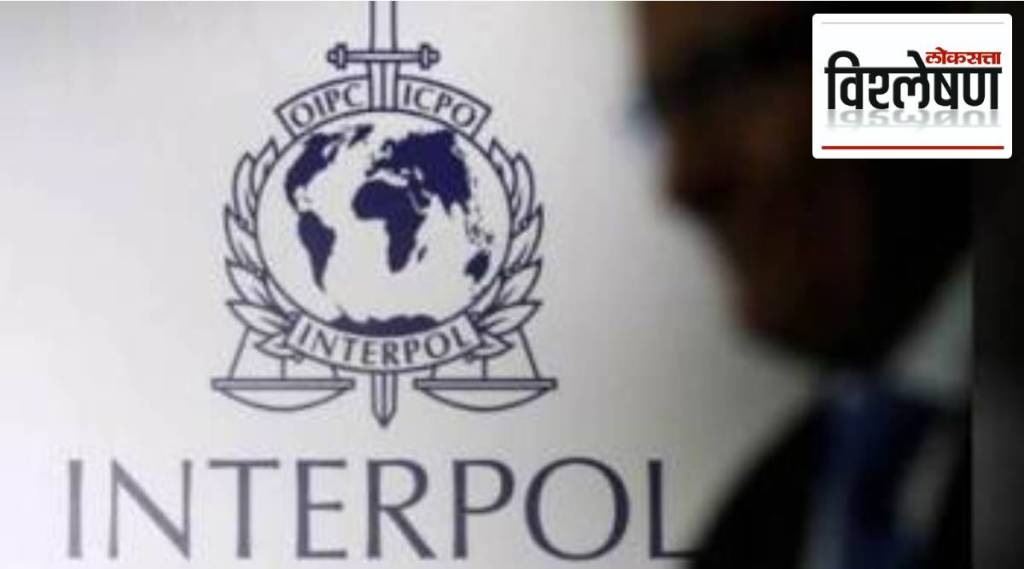 Interpol New