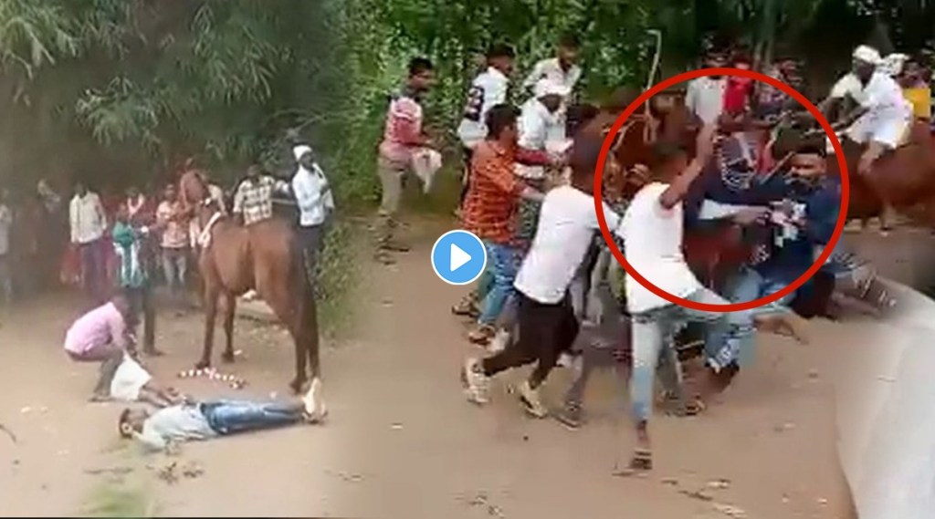 VIDEO: घोड्यांची शर्यत सुरु असताना तरुण रस्त्यावरच घालत होते वाद, तितक्यात वायूवेगाने आलेल्या घोड्याने…; काळजाचा ठोका चुकवणारी घटना