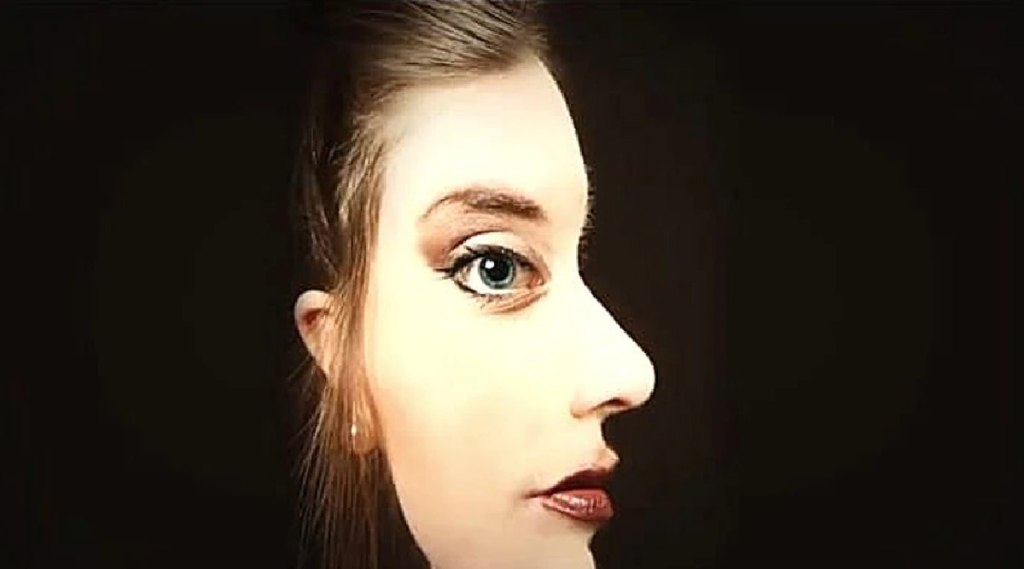 Optical Illusion Two Faces