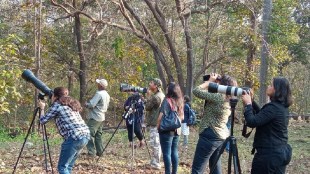 'Jungle Belles' wildlife business women tourism envoirnment pune