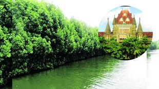 virar-Dahanu four lane 24 thousand mangroves cut mrvc petition in mumbai high court mumbai
