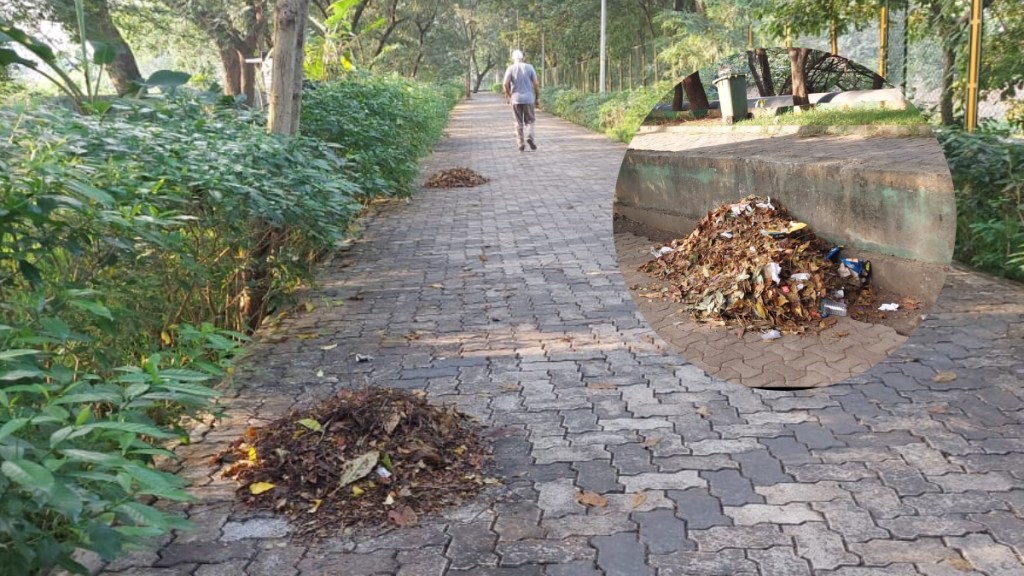स्वच्छ शहर म्हणून ओळख असलेल्या नवी मुंबईत जॉगिंग ट्रॅकवर सुकलेल्या पानांचे ढिगारे…