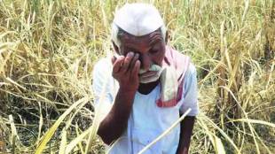 Mahatma Jyotiba Phule Scheme farmers diwali darkness cm shinde mva government nagpur