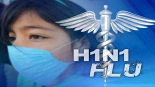 swine flu