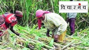 Women sugarcane workers of Kamothe village got separate identity beed hingoli