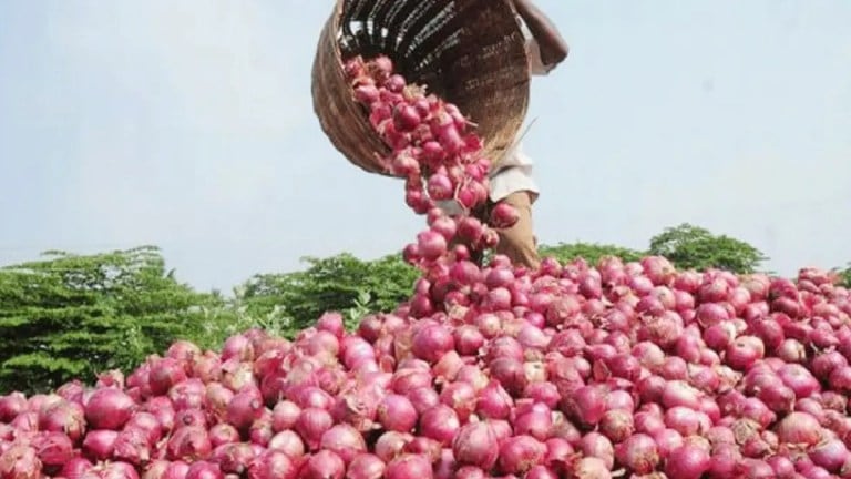 posibilty of further increase in onion price in apmc market navi mumbai