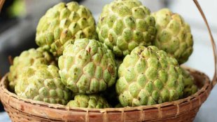 Custard apple benefits