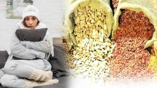 Seeds for winter:
