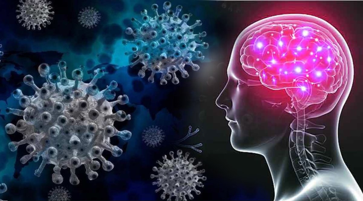 brain fog