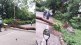 tree fell on body while riding a bike nagpur