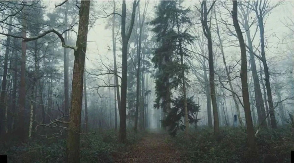 Optical illusion can you find hidden fox in this photo in 10 seconds