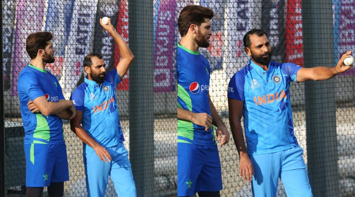 T20 World Cup 2022: 'I used to bowl...', special tips from Pakistan's Shaheen Afridi Shami