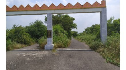 The road of Panje village has turned into a jungle road