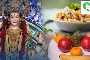 navratri2022 health lifestyle