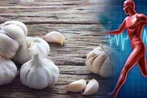 raw garlic benefits