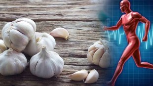raw garlic benefits