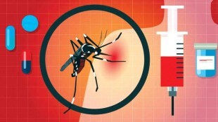 DENGUE FEVER symptoms treatment