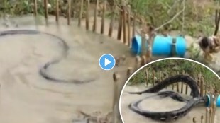 python traping video