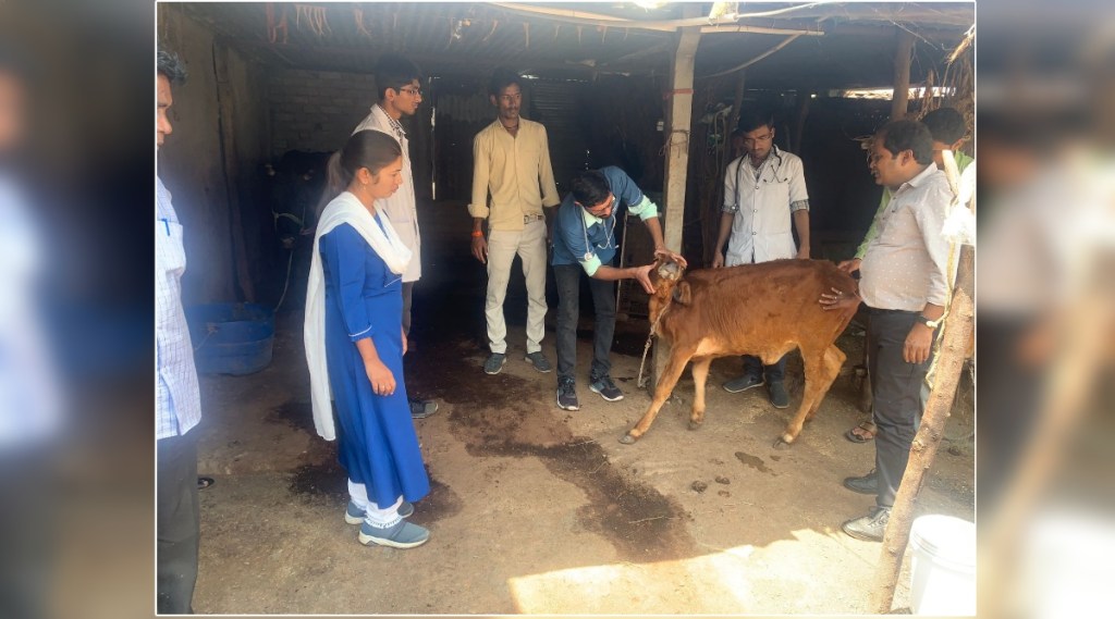 Spread of Lampi in 94 villages in Nagpur district