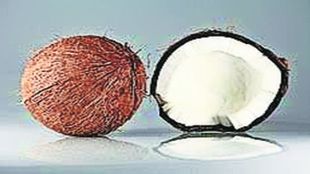 bhashsutra coconut