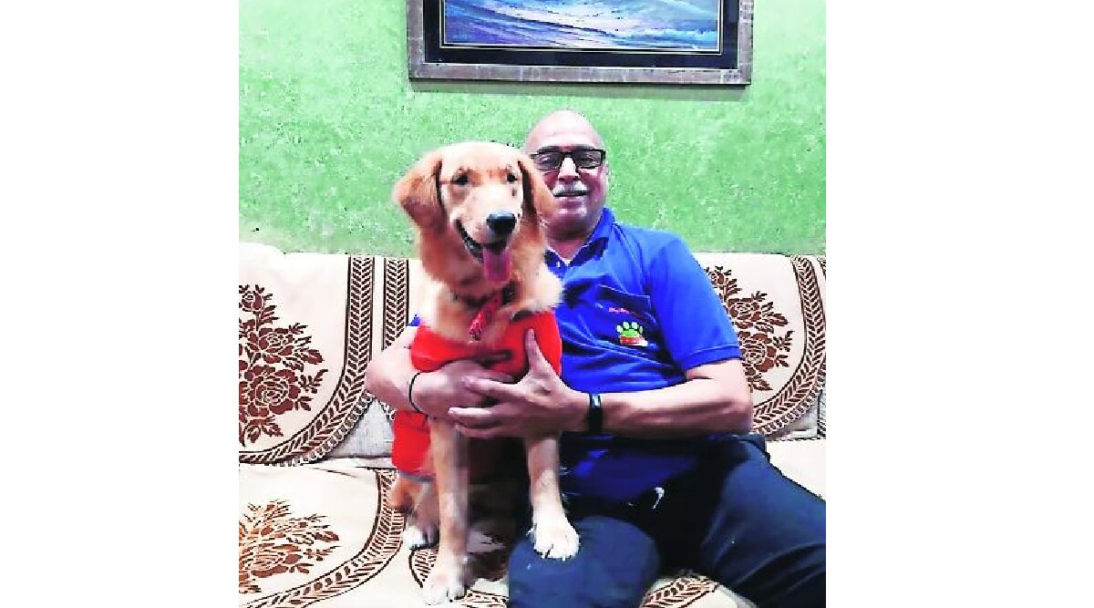 सोयरे सहचर : आमचं आनंदाचं गोकुळ! | Pets animal dog House Sheru story about sheru pet amy 95