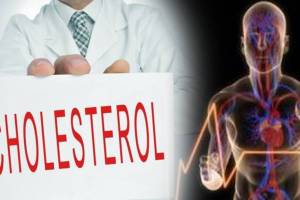 what is the normal range of cholesterol level