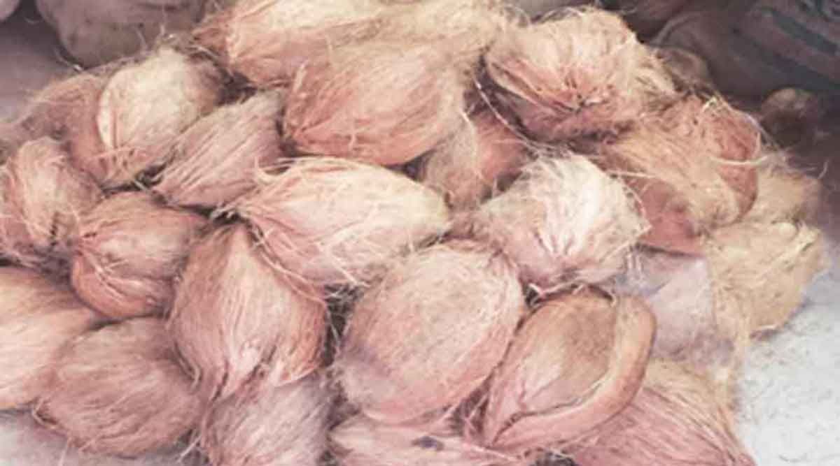 coconut navratri festival demand increse