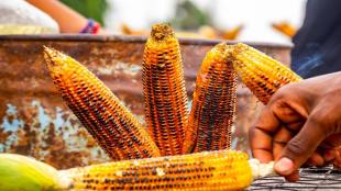 side effects of eating roadside corn